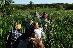 Междуреченский региональный ландшафтный парк, Отрохи